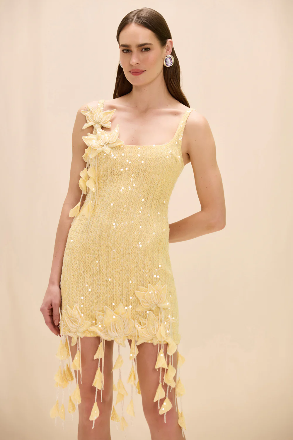 IARA CROCHET MINI DRESS